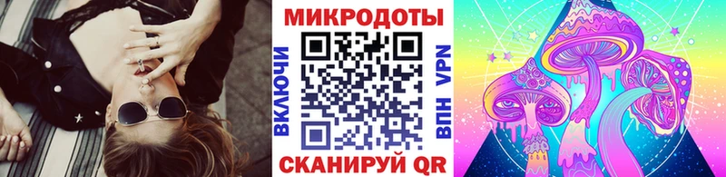 Галлюциногенные грибы Psilocybine cubensis  Копейск 